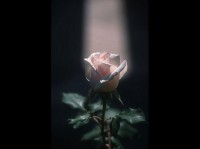 /album/galerie-photos/a22-1-jpg/